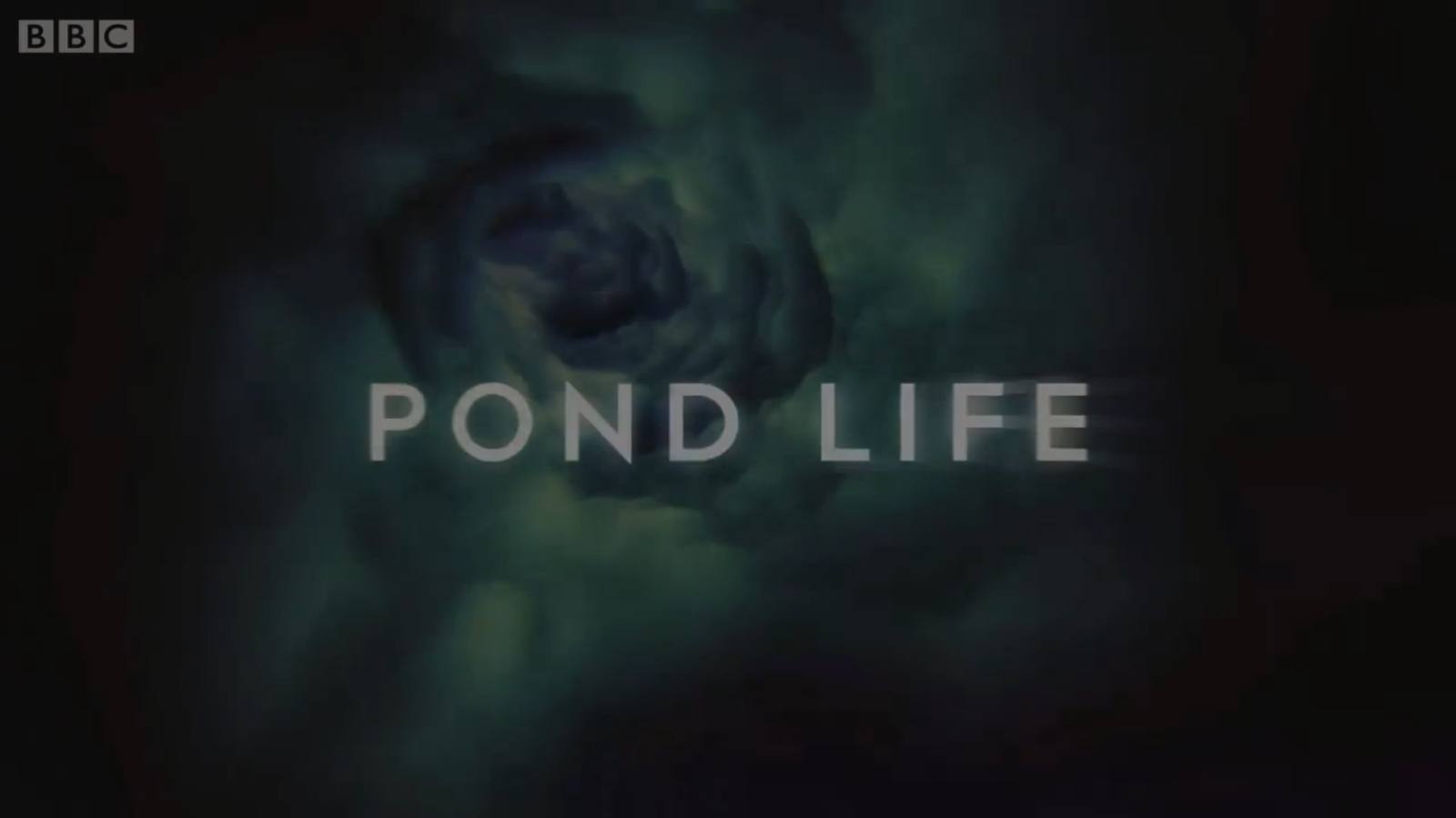 Pond Life