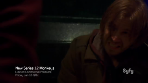 12 monkeys